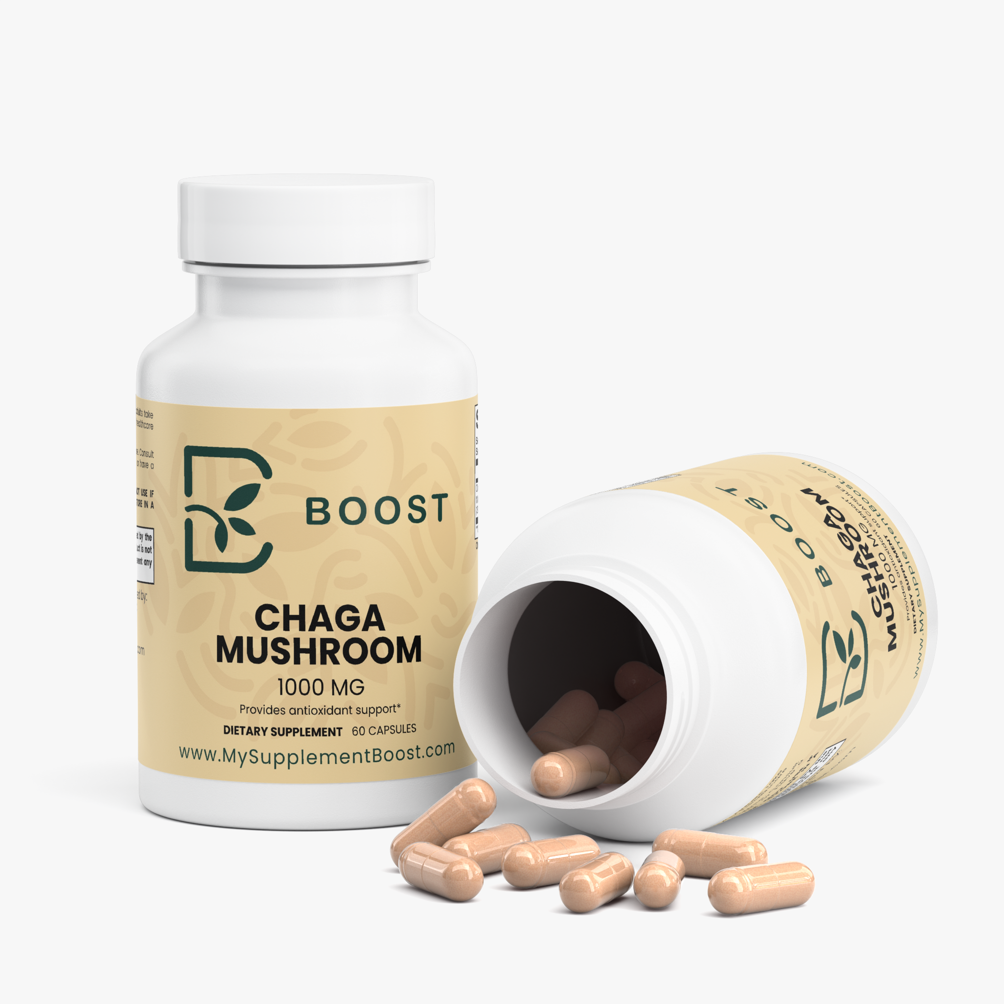 Chaga Mushroom